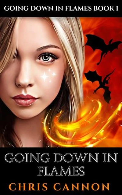 Going Down In Flames: Going Down In Flames, #1