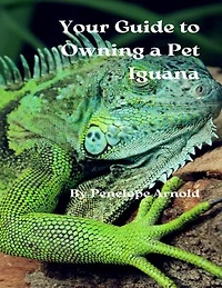 Your Guide to Owning a Pet Iguana