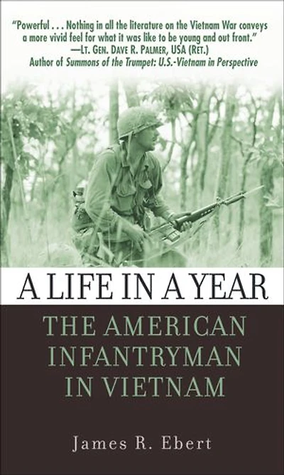a Life Year: The American Infantryman Vietnam
