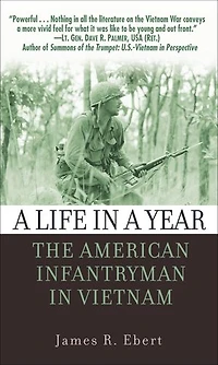a Life Year: The American Infantryman Vietnam
