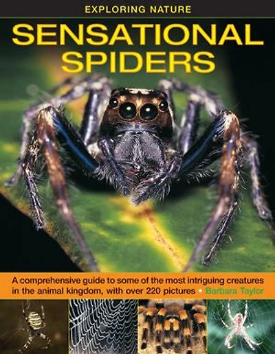 Exploring Nature: Sensational Spiders: A comprehensive guide to some of the most intriguing creatures animal kingdom, with over 220 pictures