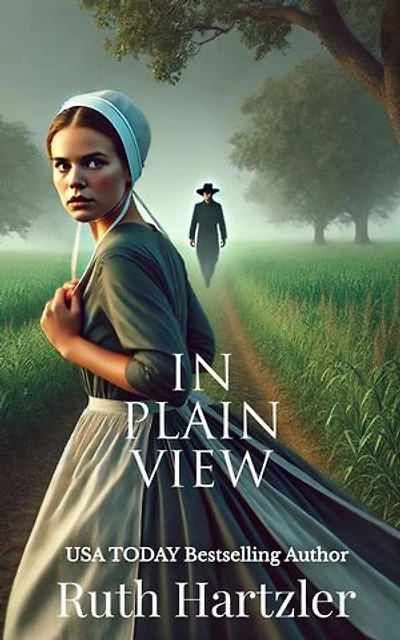 In Plain View: Christian Romantic Suspense