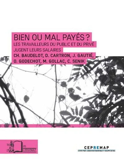 Bien ou mal payés ? : Les travailleurs du public et du privé jugent leurs salaires
