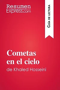 Cometas en el cielo de Khaled Hosseini (Guía de lectura): Resumen y análisis completo