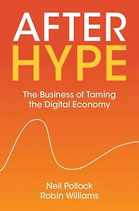 After Hype: The Business of Taming the Digital Economy