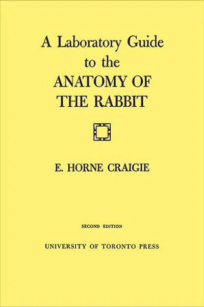 A Laboratory Guide to The Anatomy of Rabbit: Second Edition
