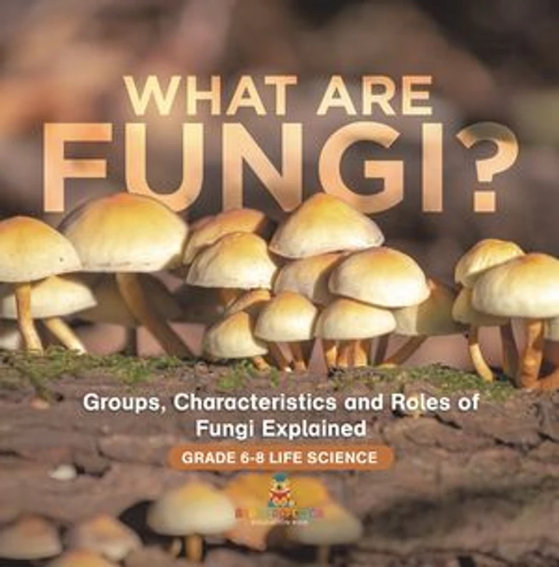 What are Fungi? Groups, Characteristics and Roles of Fungi Explained Grade 6-8 Life Science