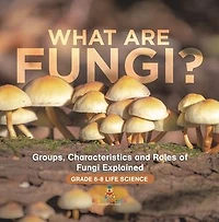 What are Fungi? Groups, Characteristics and Roles of Fungi Explained Grade 6-8 Life Science