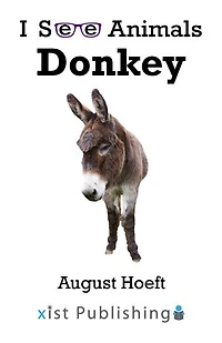 Donkey