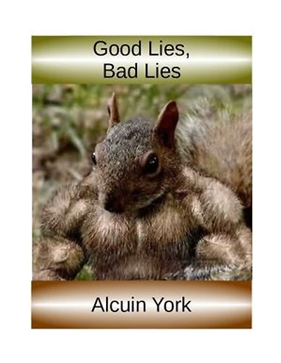 Good Lies, Bad Lies