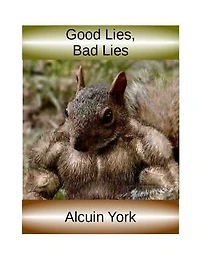 Good Lies, Bad Lies