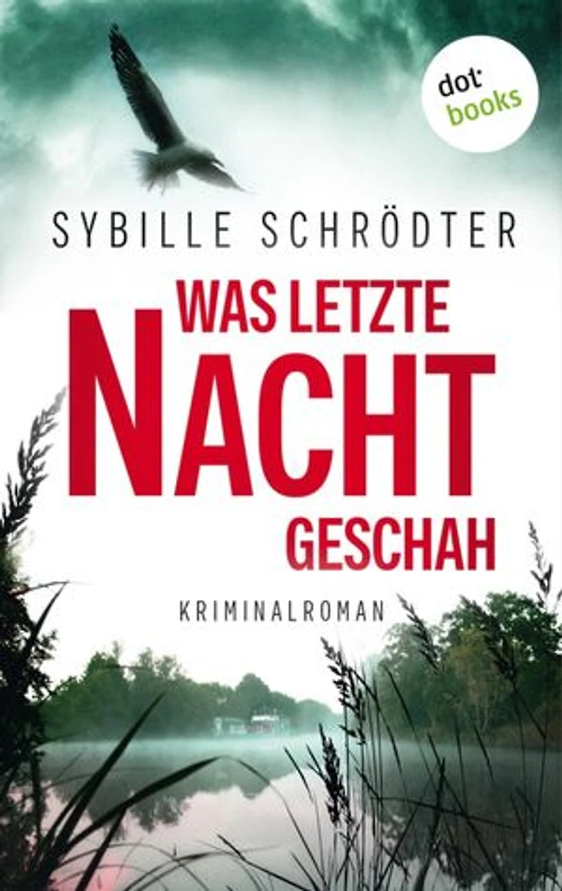 Was letzte Nacht geschah: Kriminalroman