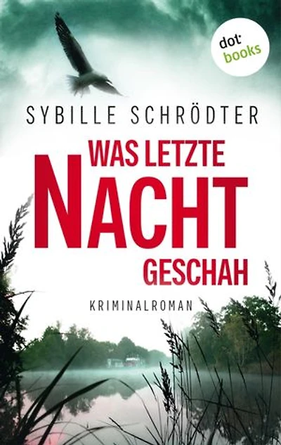 Was letzte Nacht geschah: Kriminalroman