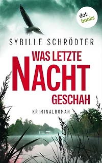 Was letzte Nacht geschah: Kriminalroman