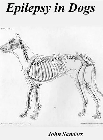 Epilepsy in Dogs