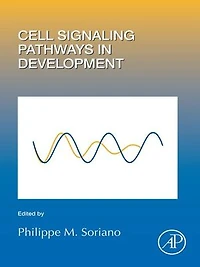 Cell Signaling Pathways Development
