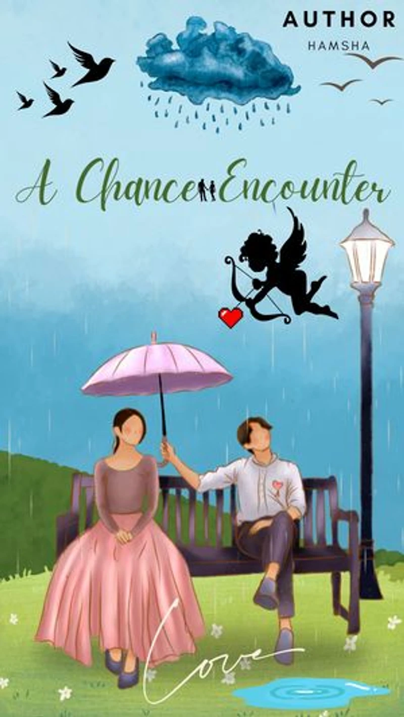 A Chance Encounter: Love of CEO