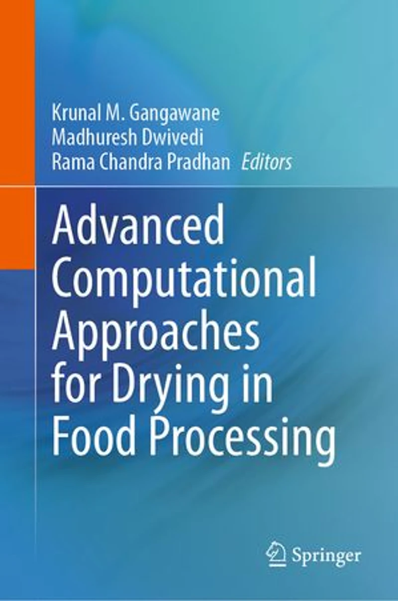Advanced Computational Approaches for Drying Food Processing