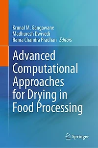 Advanced Computational Approaches for Drying Food Processing