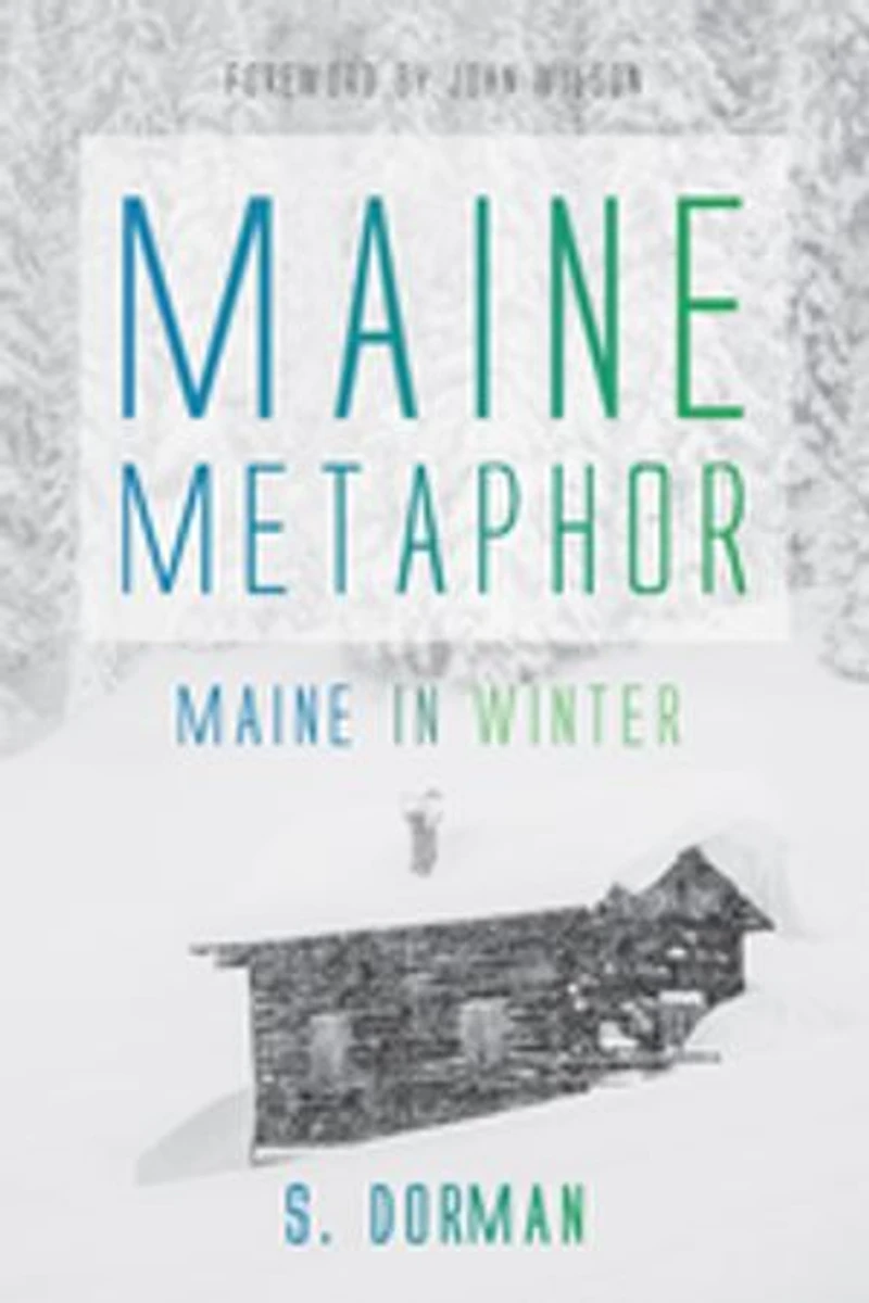 Maine Metaphor: Winter: Winter