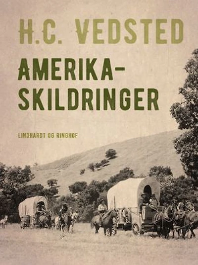 Amerika-skildringer