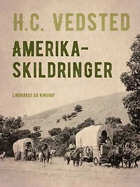 Amerika-skildringer