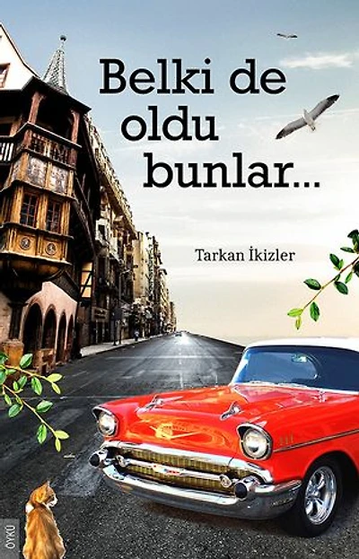 Belki de oldu bunlar...
