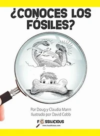 ¿Conoces los fósiles?