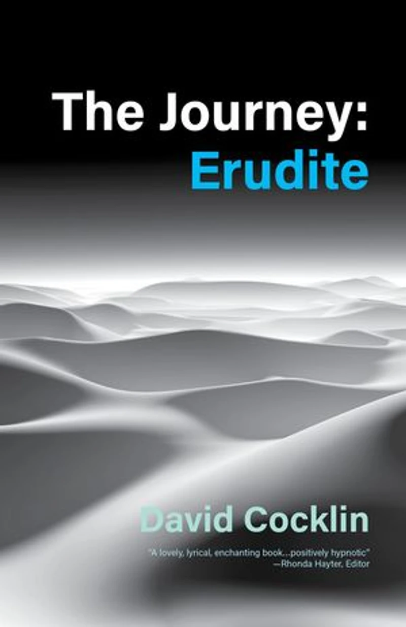 The Journey: Erudite