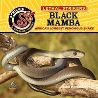 Black Mamba: Africa's Longest Venomous Snake