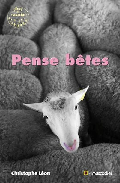 Pense bêtes: Un recueil de nouvelles drôles et grinçantes