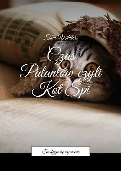 Czas Palantów czyli Kot Śpi