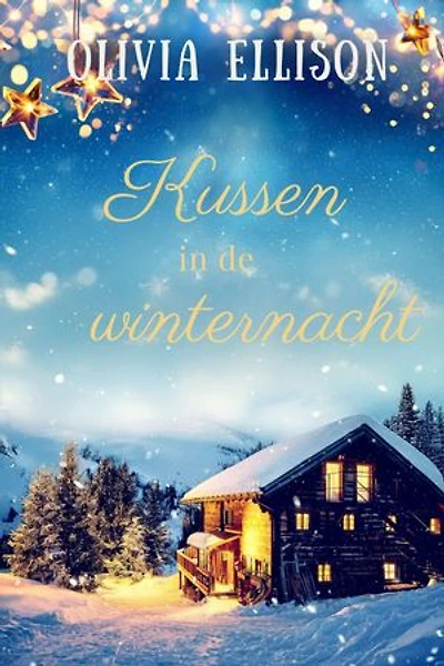 Kussen in de winternacht
