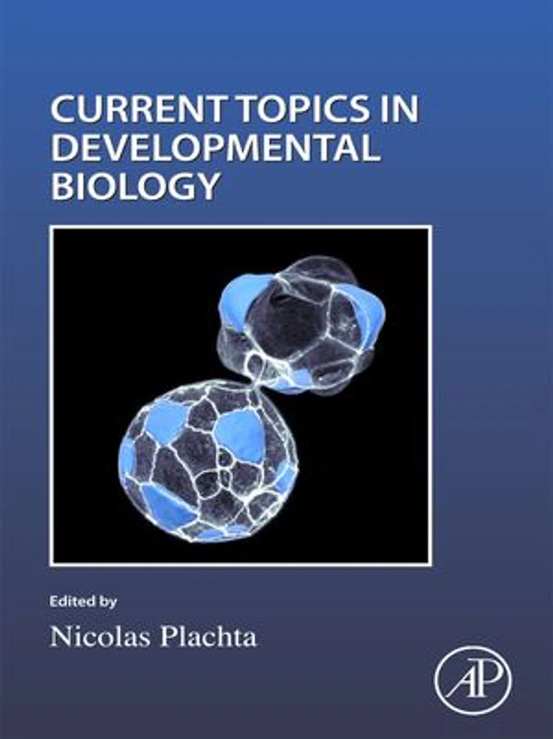 Cell Shape and Position during Development