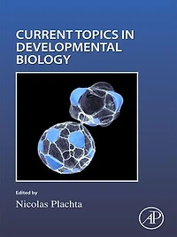 Cell Shape and Position during Development
