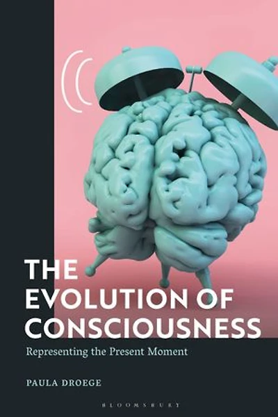 the Evolution of Consciousness: Representing Present Moment