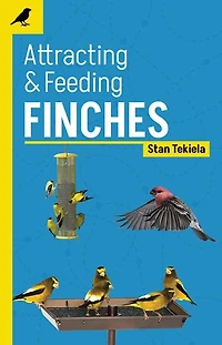 Attracting & Feeding Finches