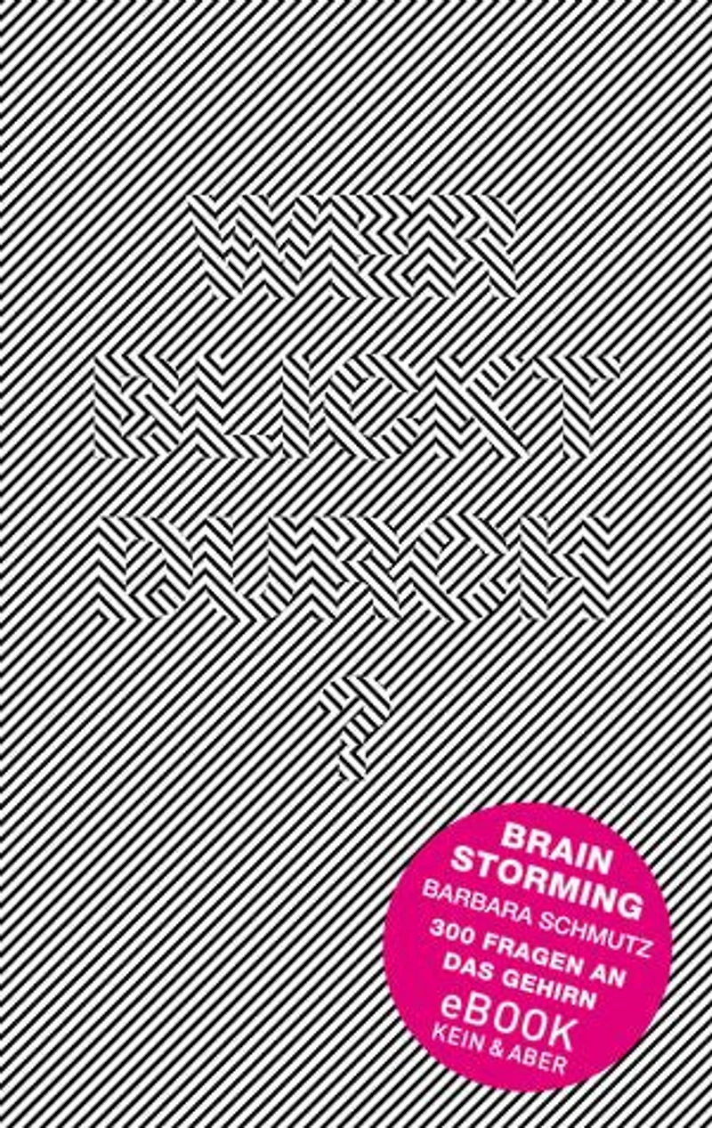 Brainstorming: 300 Fragen ans Gehirn