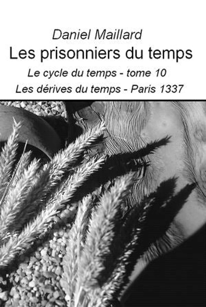 Les prisonniers du temps: Le cycle du temps - tome 10