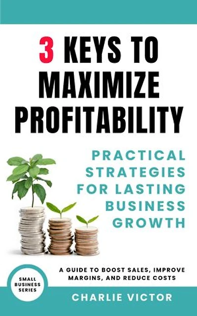 3 Keys to Maximize Profitability - Practical Strategies for Lasting Business Growth: Small Business Series, #3