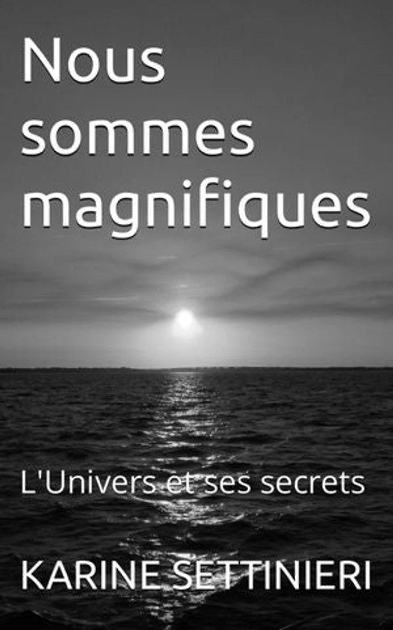 Nous sommes magnifiques: L'Univers et ses secrets
