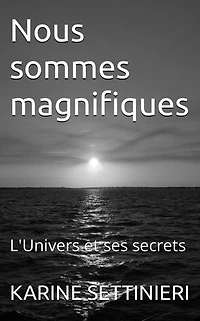 Nous sommes magnifiques: L'Univers et ses secrets
