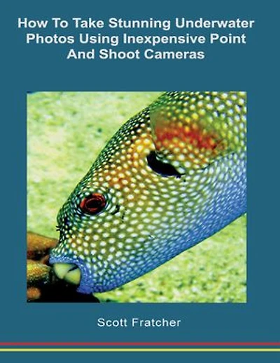How to Take Stunning Underwater Photos Using Inexpensive Point and Shoot Cameras