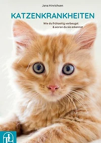 Katzenkrankheiten: Wie du frühzeitig vorbeugst & woran du sie erkennst