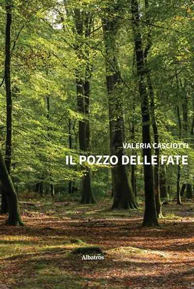 Il pozzo delle fate
