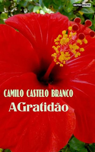 A Gratidão