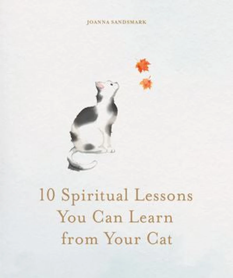 10 Spiritual Lessons You Can Learn From Your Cat: Essential Life We Our Furry Friend
