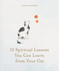 10 Spiritual Lessons You Can Learn From Your Cat: Essential Life We Our Furry Friend