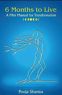 6 months to live: A mini manual for transformation