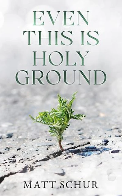 Even This Is Holy Ground